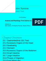 ch23_part1-digestive system