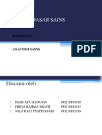 Dasar - Dasar Sains