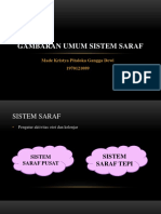 Gambaran Umum Sistem Saraf: Made Kristya Pitaloka Gangga Dewi 1970121089