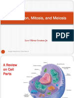 The Cell Cycle & Mitosis