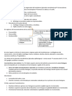 Cabeza y Cuello EMBRIOLOGÍA