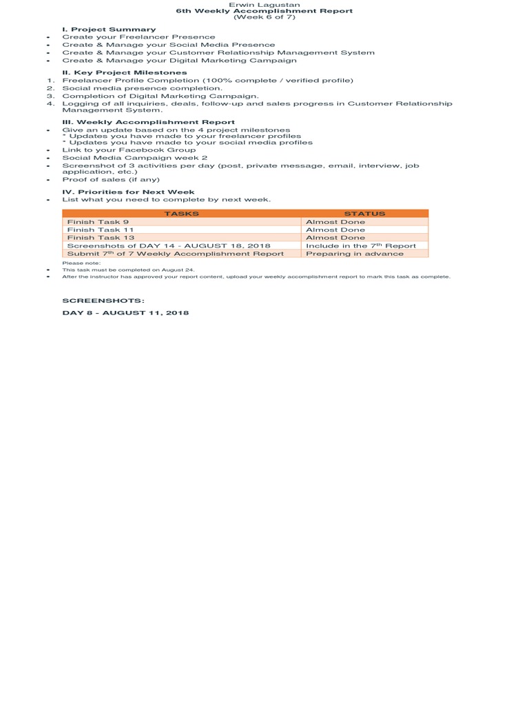 Week 6 Accomplishment Report Template | PDF