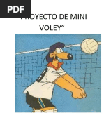 Proyecto de Mini Voley