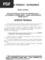 A4 (DTOE 1) Plan de Organizare A Execuției | PDF