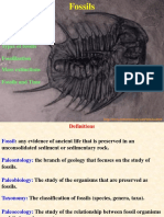 Fossils Defined Types of Fossils Fossilization Mass Extinctions Fossils and Time