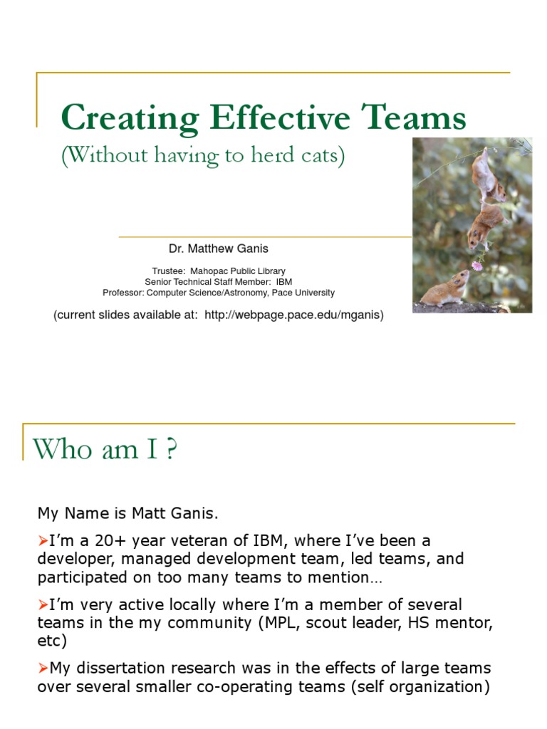 Building Effective Teams Strategies | PDF | Leadership | Expert