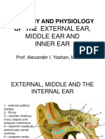Anatomy of the Ear: External, Middle & Inner Structures