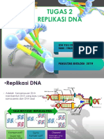 Tugas 2 Replikasi DNA