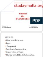 ECOSYSTEM PPT.pptx