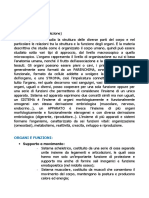 Appunti di Anatomia Umana.pdf 