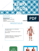 Histologia: Tejido Muscular