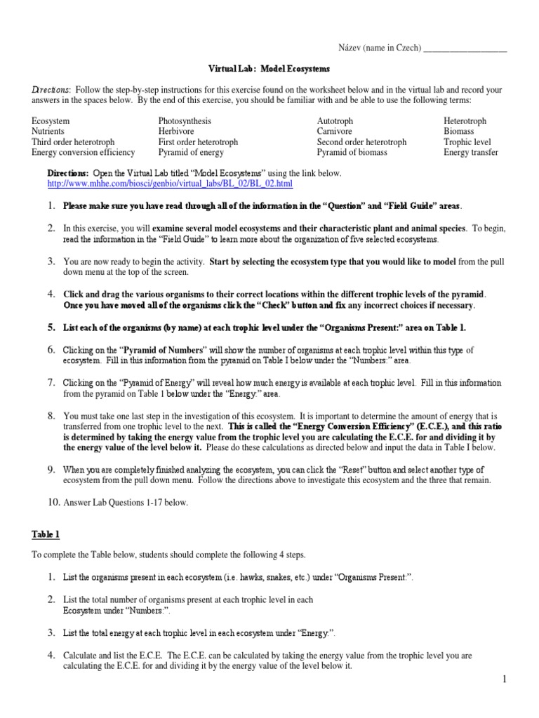 Virtual Lab Model How Ecosystems Work PDF PDF Food  Ecosystem