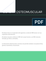 2 Sistema Osteomuscular