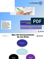 Presentacion Nicc 1 PDF