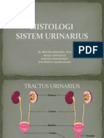 Histologi Sistem Urinarius.pptx