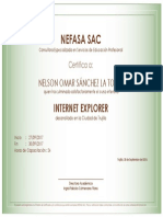 Internet Explorer - Nelson Sánchez