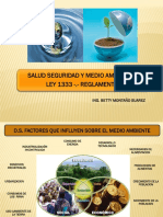 Salud Seguridad Y Medio Ambiente Ii Ley 1333 - .-Reglamentos