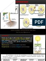 Biología - Fotosíntesis