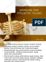 Sistem Kerangka, Tulang Tulang