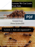 Ant Presentation - Responsibility Lesson