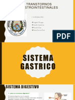 Sistema Gastrico