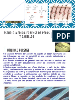 Estudio Medico-Forense de Pelos y Cabellos