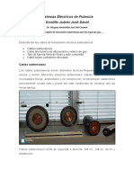 Documento SEP PDF