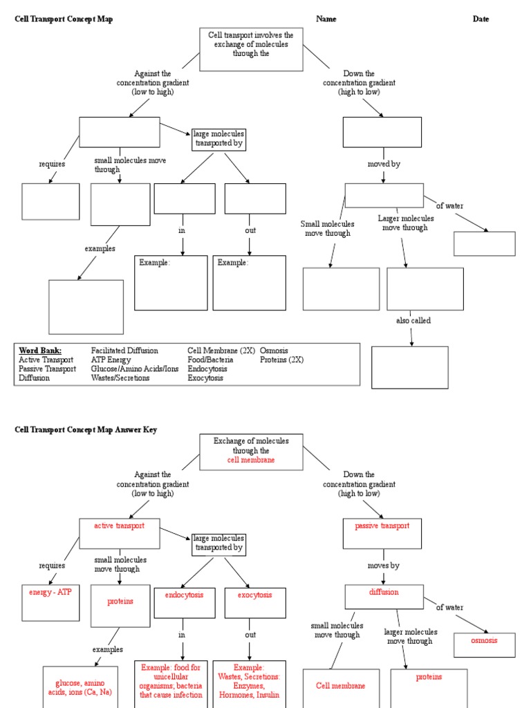 Cell Transport Concept Map For Notes  Cell Membrane  Membrane Throughout Cell Concept Map Worksheet Answers