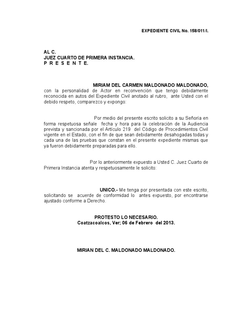 Solicitud de Audiencia 219 CPCE Veracruz | PDF