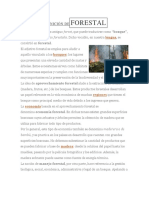 Definición Deforestal