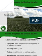 Manejo Integrado del Cultivo de piña.pdf