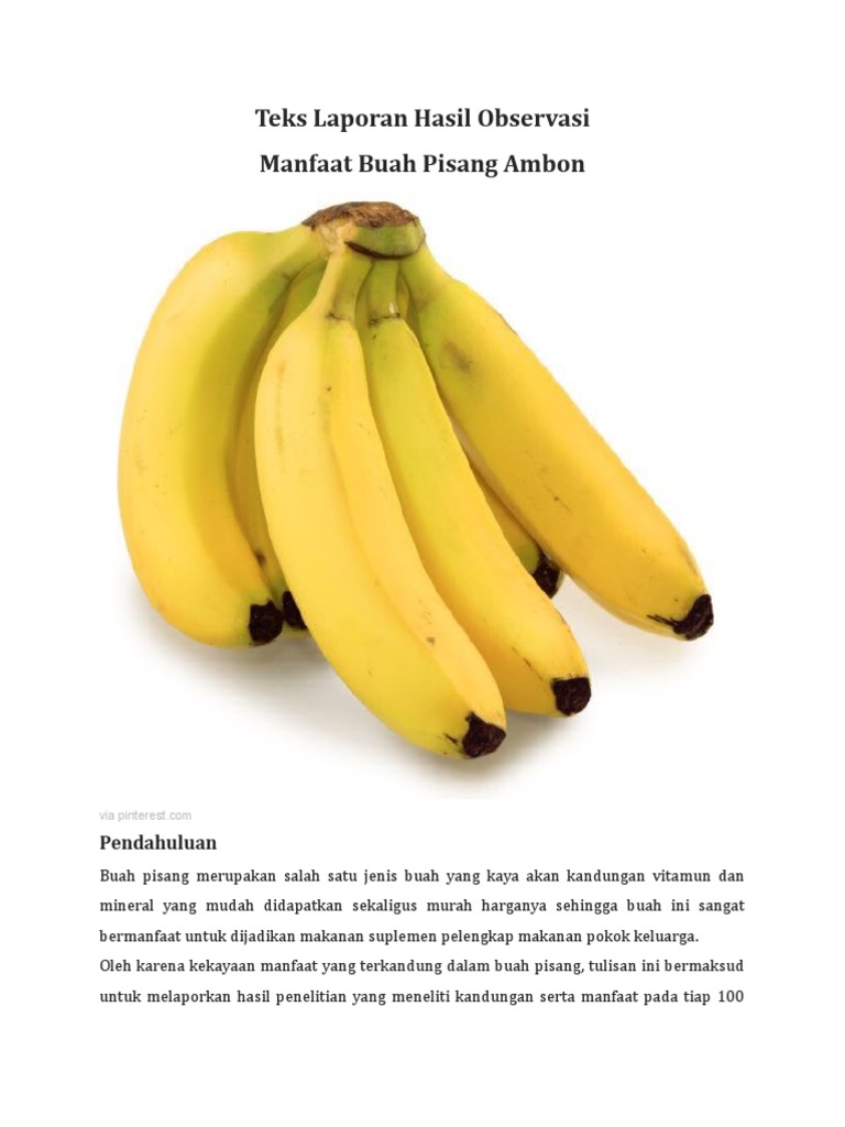 Teks Laporan Hasil Observasi Manfaat Buah Pisang Ambon