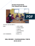 Laporan Praktikum Biologi