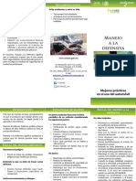 INECC_Triptico_Manejo_a_la_Defensiva.pdf