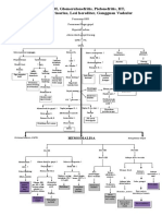 Woc CKD HD PDF