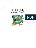Interior Atlasul Animalelor 