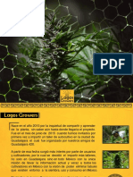 Dossier Lagos PDF