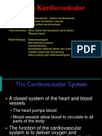 Sistem Kardiovaskular: Cardiac Output Dan Otot Jantung