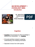 Introduction To Developmental Psychology