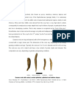 Cassava Root PDF