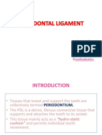 0 - Periodontal Ligament