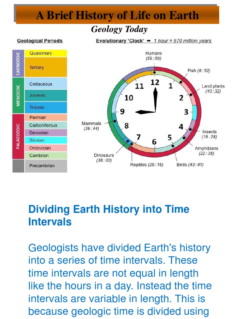 History of Life On Earth | PDF | Geologic Time Scale | Homo