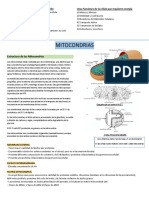 Resumen Biologia Celular