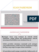 Jaringan Parenkim