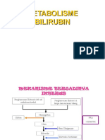 Metabolisme Bilirubin