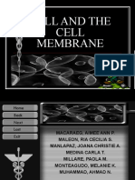 Cell &amp Cell Membrane (1st Sem)