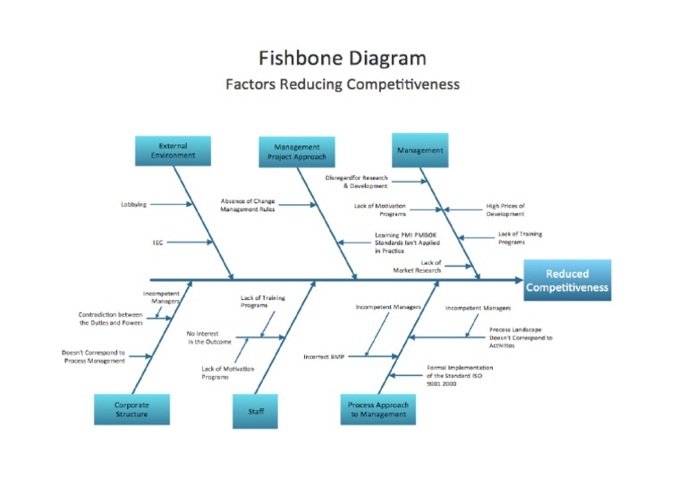 Fishbone Diagram | PDF