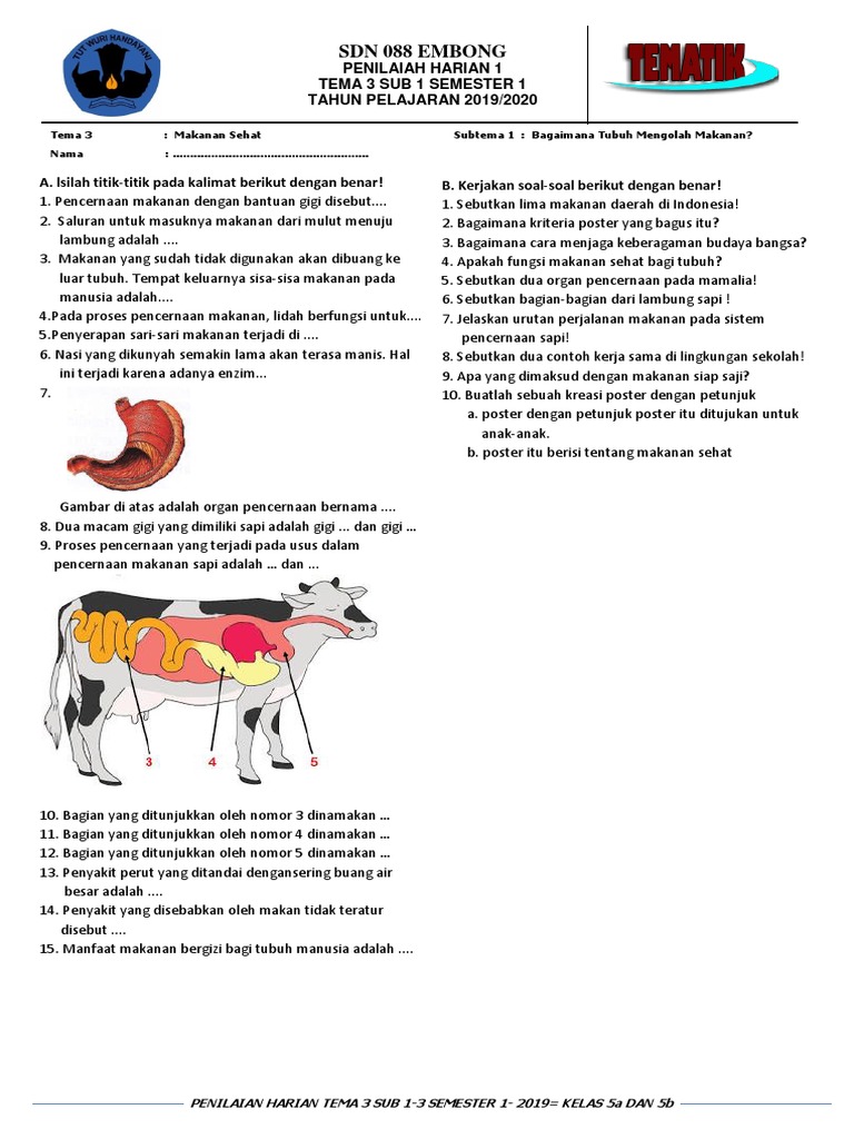Penilaian Harian Tema 3 Kelas 5 Sd Pdf