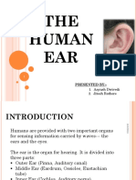 THE Human EAR: Presented By