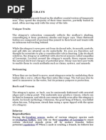 Overview of Batomorphi Classification | PDF | Vertebrates | Elasmobranchii